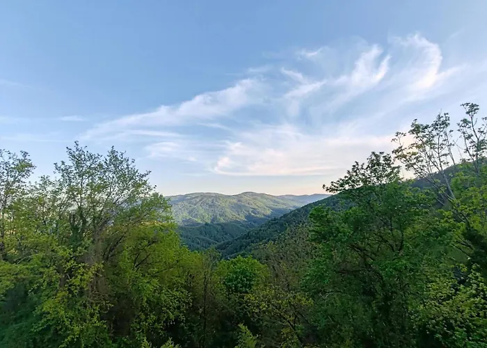 Stella Vittoria Rocinj